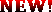 NEW13.GIF (275 bytes)